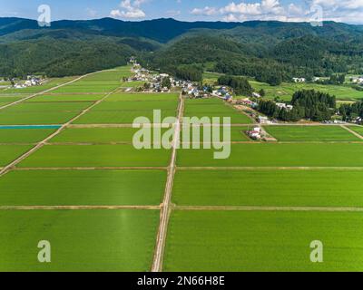 Reisfeld, Schachbrettmuster, Bauernhäuser, Fuß der Berge, Drohnenantenne, Yokote City, Akita, Tohoku, Japan, Ostasien, Asien Stockfoto