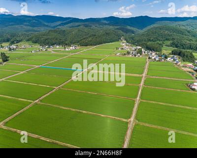 Reisfeld, Schachbrettmuster, Bauernhäuser, Fuß der Berge, Drohnenantenne, Yokote City, Akita, Tohoku, Japan, Ostasien, Asien Stockfoto