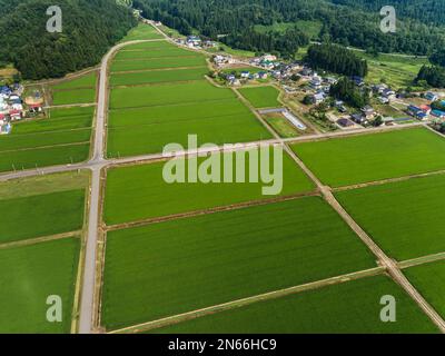 Reisfeld, Schachbrettmuster, Bauernhäuser, Fuß der Berge, Drohnenantenne, Yokote City, Akita, Tohoku, Japan, Ostasien, Asien Stockfoto