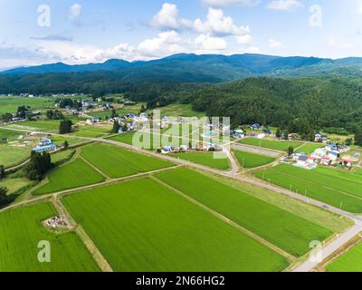 Reisfeld, Schachbrettmuster, Bauernhäuser, Fuß der Berge, Drohnenantenne, Yokote City, Akita, Tohoku, Japan, Ostasien, Asien Stockfoto