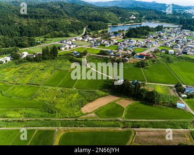 Reisfeld, Bauernhäuser, Fuß der Berge, Drohnenantenne, Stadt Yokote, Akita, Tohoku, Japan, Ostasien, Asien Stockfoto