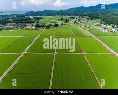 Reisfeld, Bauernhäuser, Fuß der Berge, Drohnenantenne, Stadt Yokote, Akita, Tohoku, Japan, Ostasien, Asien Stockfoto