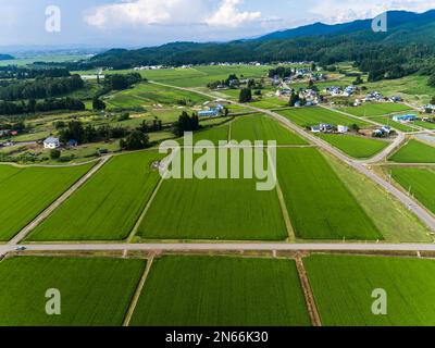 Reisfeld, Bauernhäuser, Fuß der Berge, Drohnenantenne, Stadt Yokote, Akita, Tohoku, Japan, Ostasien, Asien Stockfoto