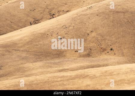 Die tawny Hills rund um Cape Jervis auf der Fleurieu Halbinsel im Spätsommer, Südaustralien. Stockfoto