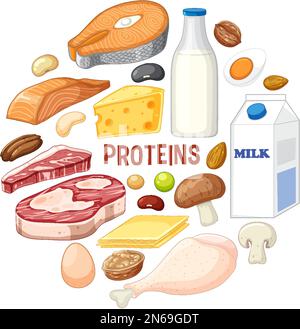 Variety of protein foods with text illustration Stock Vektor