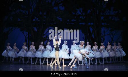 Hamburg, Deutschland. 09. Februar 2023. Alexandr Trusch (l-r) als „König“, Alina Cojocaru als „Prinzessin Odette“, Lasse Caballero als „Prinz Siegfried“ und Ensemble-Tanz während einer Fotoprobe von John Neumeiers Ballett „Illusionen - Like Swan Lake“ auf der Bühne der Staatsoper. Das Hamburger Ballett feiert am 11. Februar die Wiederbelebung von John Neumeiers Ballettklassiker. Dies ist die fünfte Wiederbelebung des Stücks seit seiner Premiere im Jahr 1976. Kredit: Christian Charisius/dpa/Alamy Live News Stockfoto