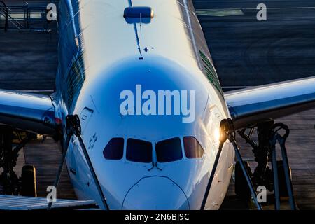 schwechat, österreich, 09. februar 2023, eva Air am internationalen Flughafen wien Stockfoto