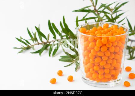 Sanddorn. Frische reife Beeren in einem Glas mit Blättern auf einem Zweig, isoliert auf weißem Hintergrund. Konzept gesunder Getränke und Kräuter, gesundes Essen Stockfoto