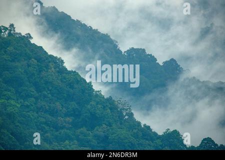 Wolken über unberührten Montanwäldern an der Grenze zwischen Indo und Bhutan Stockfoto