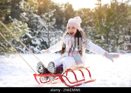 Süßes kleines Mädchen, das am Wintertag eine Schlittenfahrt im Freien genießt Stockfoto