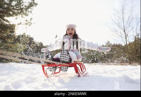 Süßes kleines Mädchen, das am Wintertag eine Schlittenfahrt im Freien genießt Stockfoto