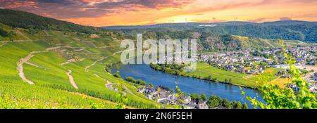 Panoramablick in Piesport, Deutschland Stockfoto