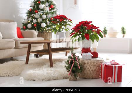 Wunderschöne Poinsettia, dekorativer Baum und Geschenkboxen im Innenbereich, Platz für Text. Traditionelle Weihnachtsblume Stockfoto