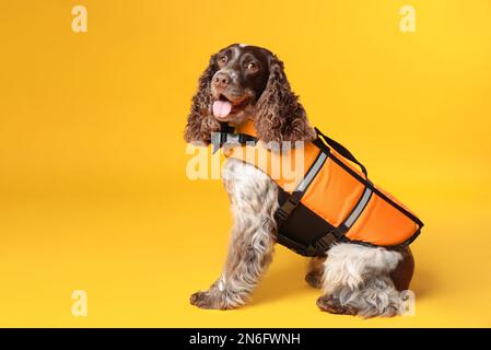 Hunderretter in Schwimmweste auf gelbem Hintergrund Stockfoto