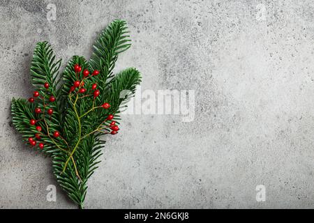 Weihnachten und Neujahr flacher Rahmen mit grünem Tannenbaum und waldroten Beeren auf grauem Steinbeton mit freiem Platz Stockfoto