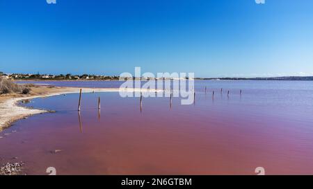 Wunderschöner Blick aus der Vogelperspektive auf den rosa Salzsee Las Salinas in Torrevieja, Spanien Stockfoto