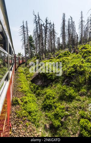 Die Brockenbahn-Schmalspurbahn im deutschen Harz-Gebirge auf dem Weg vom Brocken-Gebirge nach unten. Stockfoto