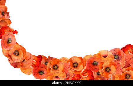 Quadratische Rahmenkomposition in Aquarellfarben mit handgezeichneten, leuchtend roten Mohnblumen im Sommer. Isoliert auf weißem Hintergrund. Entwurf für Einladungen, Hochzeiten Stockfoto