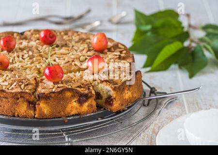 Süße Kirschkuchen, Clafoutis, mit gerösteten Mandeln, auf einem weißen Holztisch Stockfoto