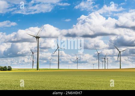 Windturbinen in einem Maisfeld an einem bewölkten sonnigen Tag Stockfoto
