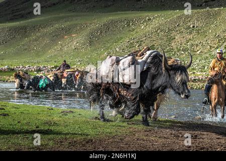 Die Nomadenfamilie zieht im Sommer mit Yaks um. Provinz Bayanhongor, Mongolei Stockfoto