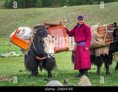 Die Nomadenfamilie zieht im Sommer mit Yaks um. Provinz Bayanhongor, Mongolei Stockfoto