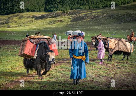 Die Nomadenfamilie zieht im Sommer mit Yaks um. Provinz Bayanhongor, Mongolei Stockfoto