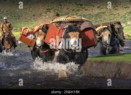 Die Nomadenfamilie zieht im Sommer mit Yaks um. Provinz Bayanhongor, Mongolei Stockfoto