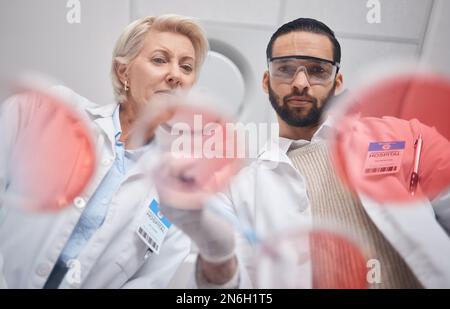 Teamarbeit, Labor und Wissenschaft durch Wissenschaftler in der Analytik Forschung eine Probe in einem Labor, die für Ergebnisse arbeitet. Professionell, fachkundig und medizinisch Stockfoto