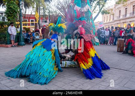 Tzotzil-Tänzer für Touristen, San Christobal de la Casa, Chiapas, Mexiko Stockfoto