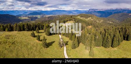 Wald an der Weissshorn, dahinter Rosengarten und Schlern Panorama, Luftaufnahme, Neuhuettalm (Capanna Nuova), Deutschnofen, Südtirol, Italien Stockfoto