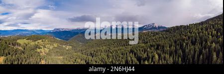 Wald an der Weissshorn, dahinter Rosengarten und Schlern Panorama, Luftaufnahme, Neuhuettalm (Capanna Nuova), Deutschnofen, Südtirol, Italien Stockfoto