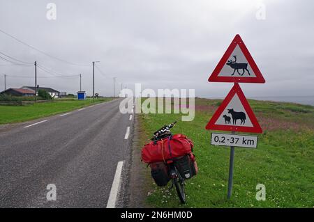 Schild warnt vor Rentieren und Schafen auf der Straße, Nebel, Fahrrad mit viel Gepäck, Abenteuer, Fahrradreisen, Fahrradtourismus, Varanger Halbinsel, Vadsoe Stockfoto