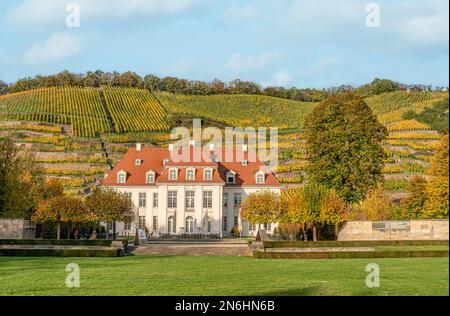 Das sächsische Staatsweingut Schloss Wackerbarth in Radebeul bei Dresden, Sachsen, Deutschland im Herbst Stockfoto