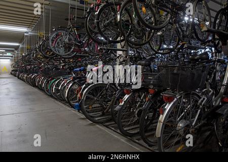 Sehr viele Fahrräder befinden sich in der Fahrradgarage des Fahrradbahnhofs am Hauptbahnhof, Fahhradhauptstadt, Münster, Nordrhein-Westfalen, Deutschland Stockfoto