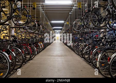 Sehr viele Fahrräder befinden sich in der Fahrradgarage des Fahrradbahnhofs am Hauptbahnhof, Fahhradhauptstadt, Münster, Nordrhein-Westfalen, Deutschland Stockfoto