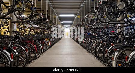 Sehr viele Fahrräder befinden sich in der Fahrradgarage des Fahrradbahnhofs am Hauptbahnhof, Fahhradhauptstadt, Münster, Nordrhein-Westfalen, Deutschland Stockfoto