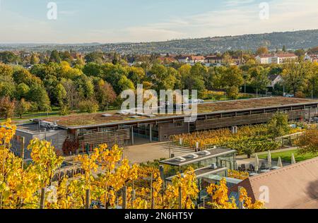 Verkaufsraum des sächsischen Staatsweinhauses Schloss Wackerbarth in Radebeul bei Dresden, Sachsen, Deutschland Stockfoto