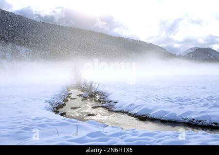 Plaine de Caille enneigee, Parc regional des prealpes d'Azur, Alpes Maritimes, 06, Cote d'Azur, Frankreich Stockfoto