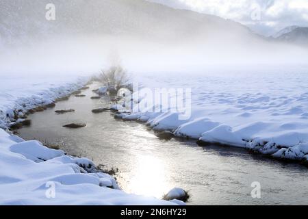 Plaine de Caille enneigee, Parc regional des prealpes d'Azur, Alpes Maritimes, 06, Cote d'Azur, Frankreich Stockfoto