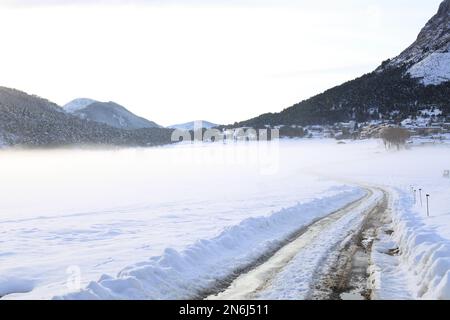 Plaine de Caille enneigee, Parc regional des prealpes d'Azur, Alpes Maritimes, 06, Cote d'Azur, Frankreich Stockfoto