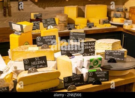 Verschiedene Käsesorten im Käsesaal des Bauernhauses in Suffolk, England, Großbritannien Stockfoto