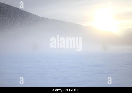 Plaine de Caille enneigee, Parc regional des prealpes d'Azur, Alpes Maritimes, 06, Cote d'Azur, Frankreich Stockfoto