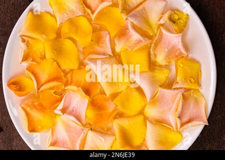 Draufsicht auf farbenfrohe Rosenblätter, die auf der Oberfläche von klarem Wasser in einer weißen Keramikschüssel schweben. Schüssel mit Aroma-Spa-Wasser mit bunten Rosenblättern. Stockfoto