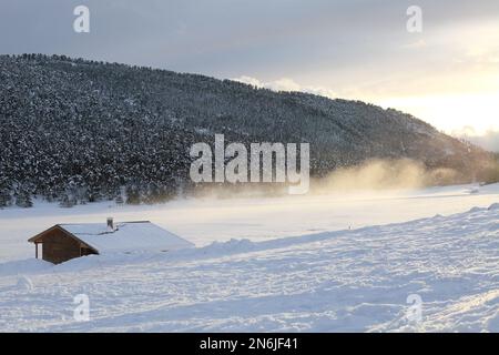 Plaine de Caille enneigee, Parc regional des prealpes d'Azur, Alpes Maritimes, 06, Cote d'Azur, Frankreich Stockfoto