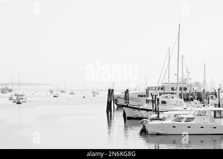 Yachten und kleine Fischerboote in der Marina des touristischen Southwest Harbor, Mount Desert Island, Maine Coast, USA Stockfoto