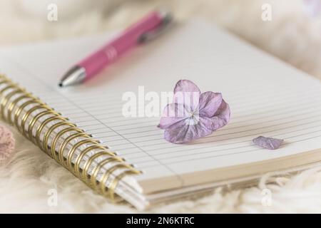 Gemütliche Kaffeepause auf weißem Pelz mit Notizbuch und Stift sowie Hortensien-, Creme- und Lila-Farben Stockfoto