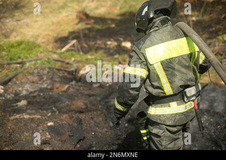 Der Feuerwehrmann löscht das Feuer. Rettungsschwimmer gießt Wasser aus dem Schlauch. Löschendes Gras. Stockfoto