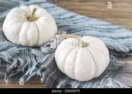 Zwei weiße Mini-Kürbisse mit einem Wollschal auf einem Holztisch, Herbstdeko Stockfoto