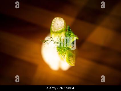 Rohe Fenchelknolle zum Kochen - Foeniculum vulgare - ist ein hartes, ganzjähriges Kraut mit gelben Blumen und Federblättern. Stockfoto